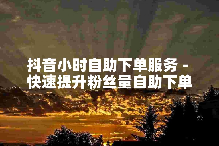 抖音小时自助下单服务 - 快速提升粉丝量自助下单。