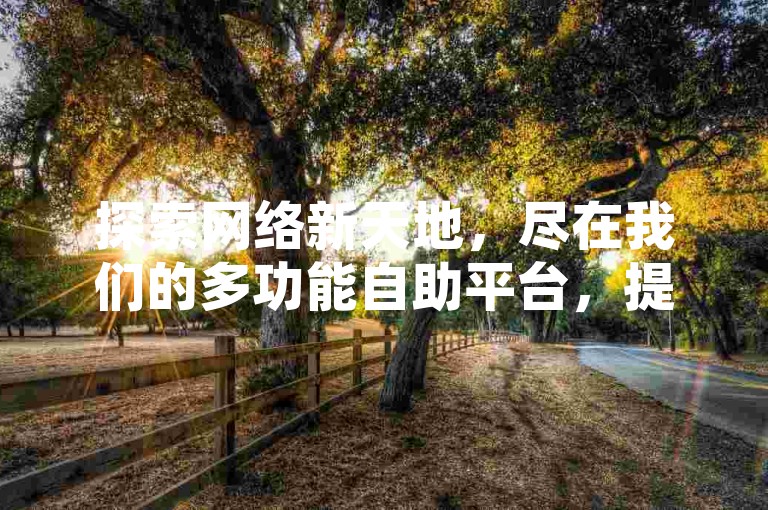 探索网络新天地，尽在我们的多功能自助平台，提供一站式服务，从社交媒体粉丝增长到访客流量提升，一切尽在掌握之中。