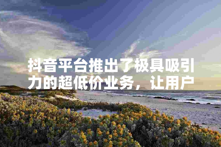 抖音平台推出了极具吸引力的超低价业务，让用户能以全网最低的价格享受优质服务。