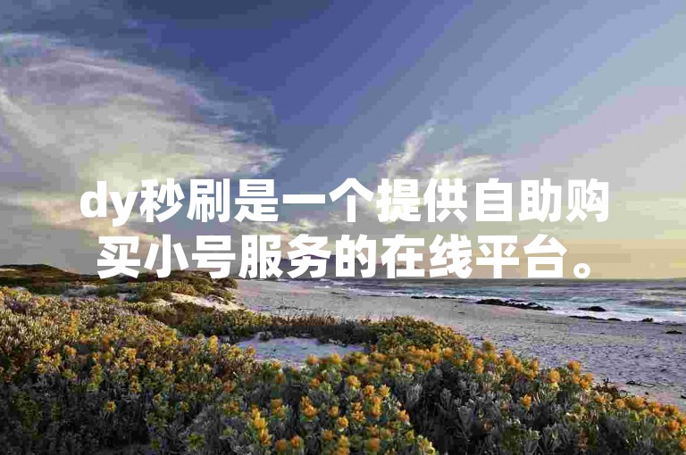 dy秒刷是一个提供自助购买小号服务的在线平台。