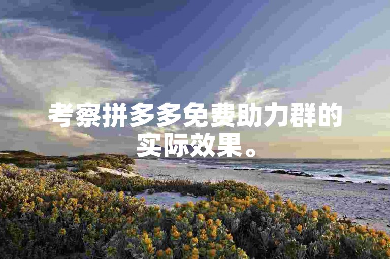 考察拼多多免费助力群的实际效果。