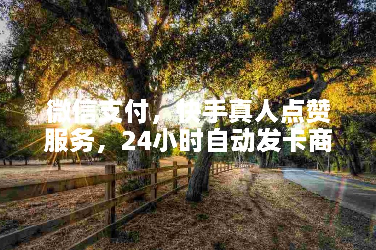 微信支付，快手真人点赞服务，24小时自动发卡商城 - 拼多多助力工具 - 抖音快手业务平台。