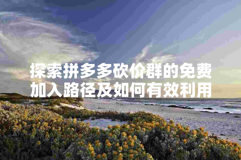 探索拼多多砍价群的免费加入路径及如何有效利用二维码，助你轻松享受超值优惠。