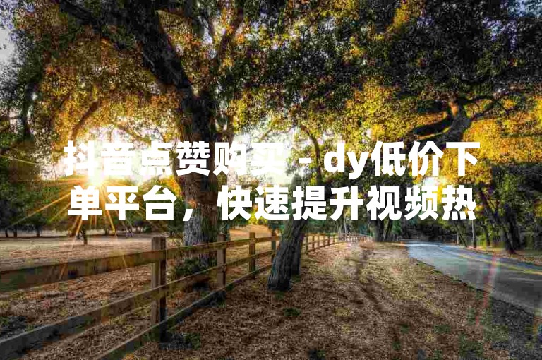 抖音点赞购买 - dy低价下单平台，快速提升视频热度。