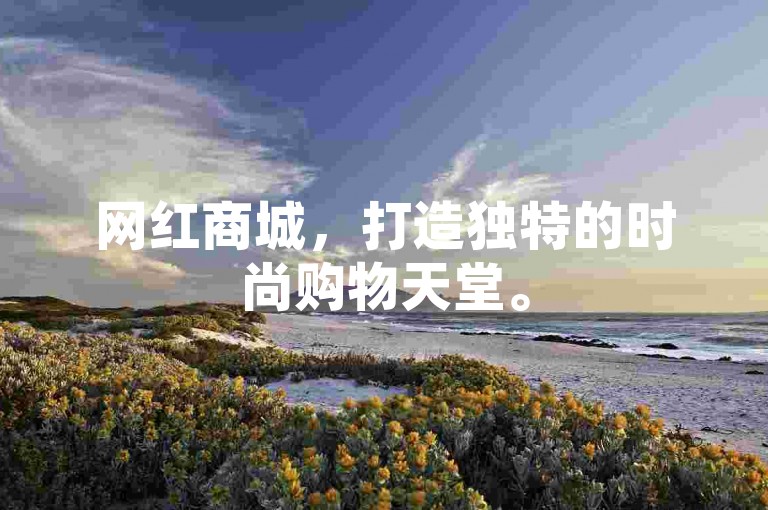 网红商城，打造独特的时尚购物天堂。