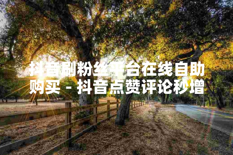 抖音刷粉丝平台在线自助购买 - 抖音点赞评论秒增服务。