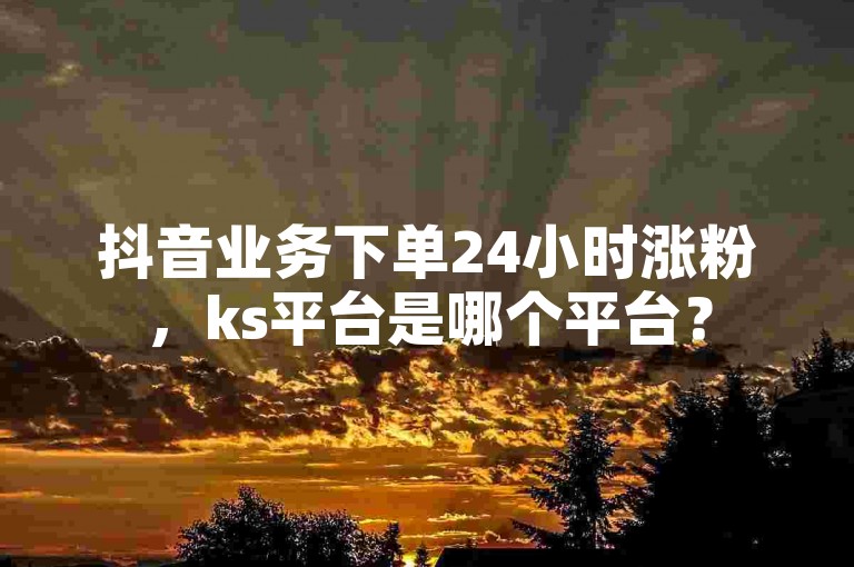 抖音业务下单24小时涨粉，ks平台是哪个平台？
