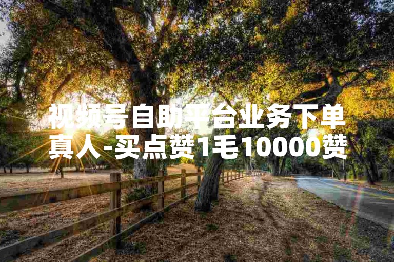 视频号自助平台业务下单真人-买点赞1毛10000赞网站,0.1元10000个赞网站入口。