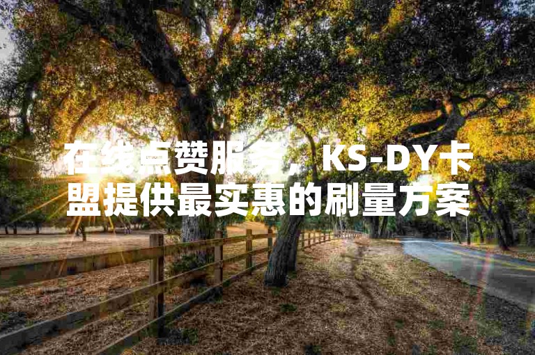 在线点赞服务，KS-DY卡盟提供最实惠的刷量方案。