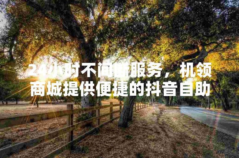 24小时不间断服务，机领商城提供便捷的抖音自助下单体验。