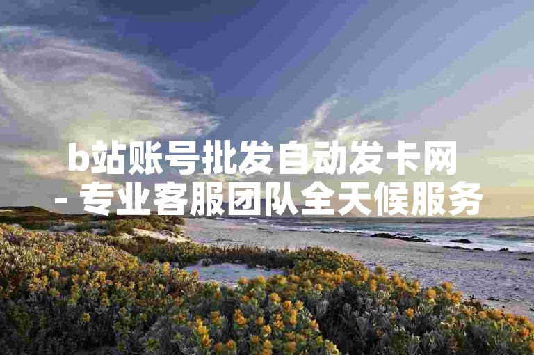 b站账号批发自动发卡网 - 专业客服团队全天候服务