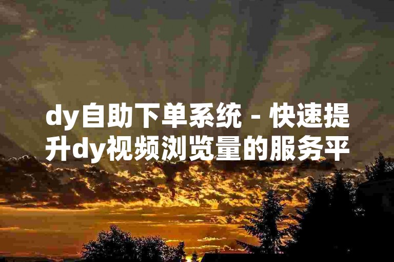 dy自助下单系统 - 快速提升dy视频浏览量的服务平台