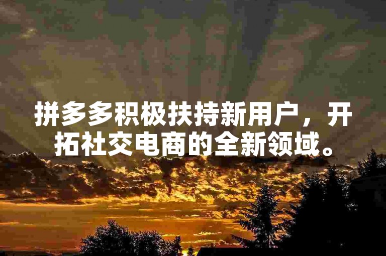 拼多多积极扶持新用户，开拓社交电商的全新领域。