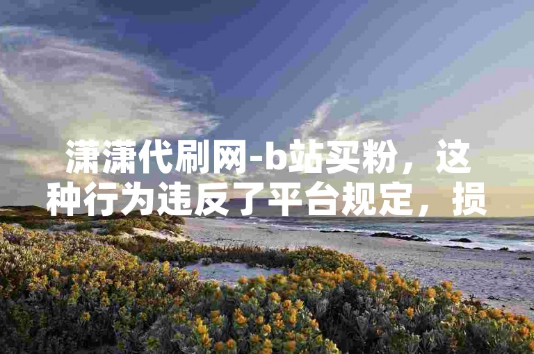 潇潇代刷网-b站买粉，这种行为违反了平台规定，损害了公平竞争的环境。