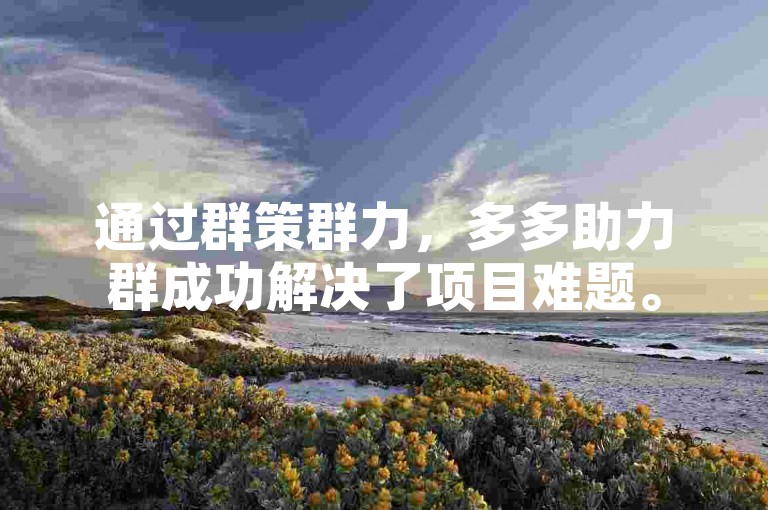 通过群策群力，多多助力群成功解决了项目难题。