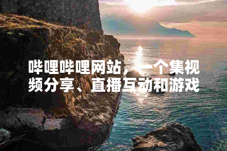 哔哩哔哩网站，一个集视频分享、直播互动和游戏娱乐于一体的多元化综合平台。