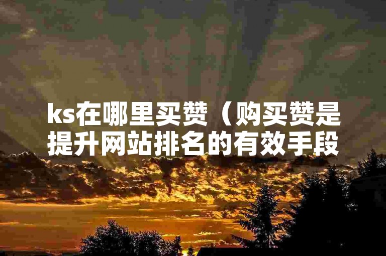 ks在哪里买赞（购买赞是提升网站排名的有效手段）