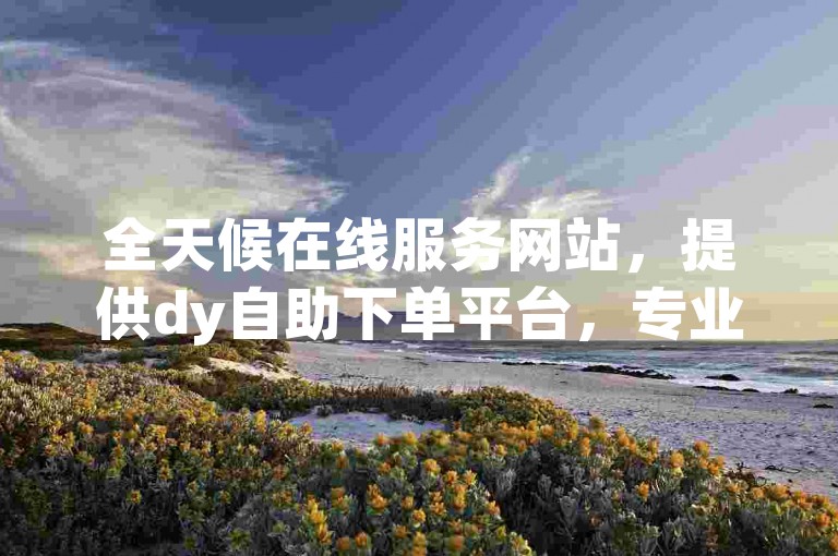 全天候在线服务网站，提供dy自助下单平台，专业低价赞。
