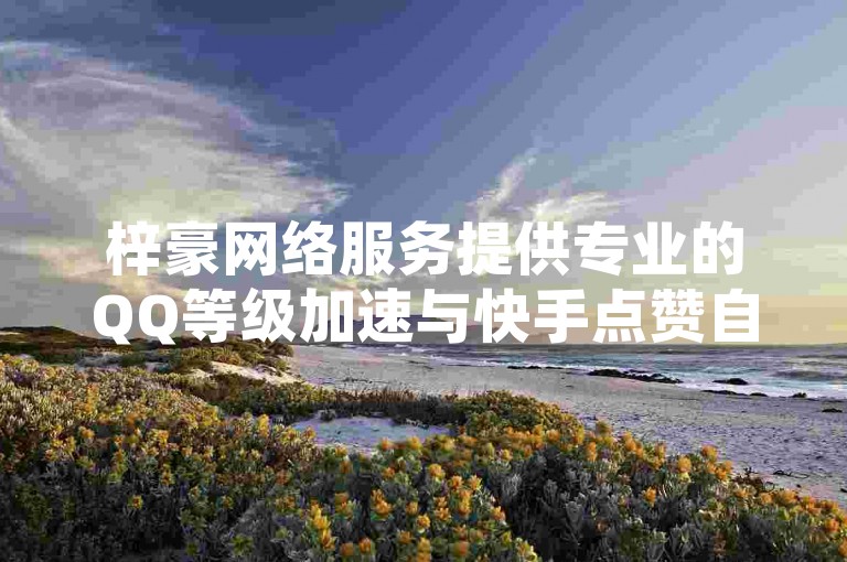 梓豪网络服务提供专业的QQ等级加速与快手点赞自助下单服务。