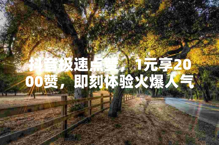 抖音极速点赞，1元享2000赞，即刻体验火爆人气！