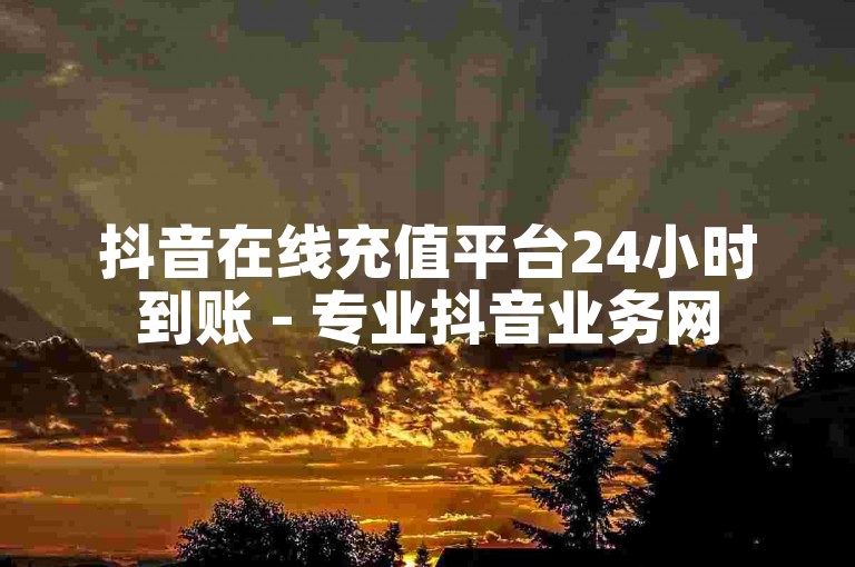抖音在线充值平台24小时到账 - 专业抖音业务网