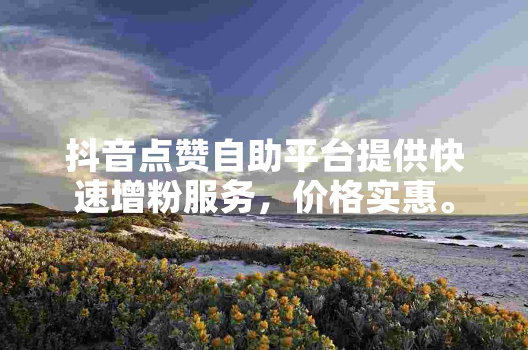 抖音点赞自助平台提供快速增粉服务，价格实惠。