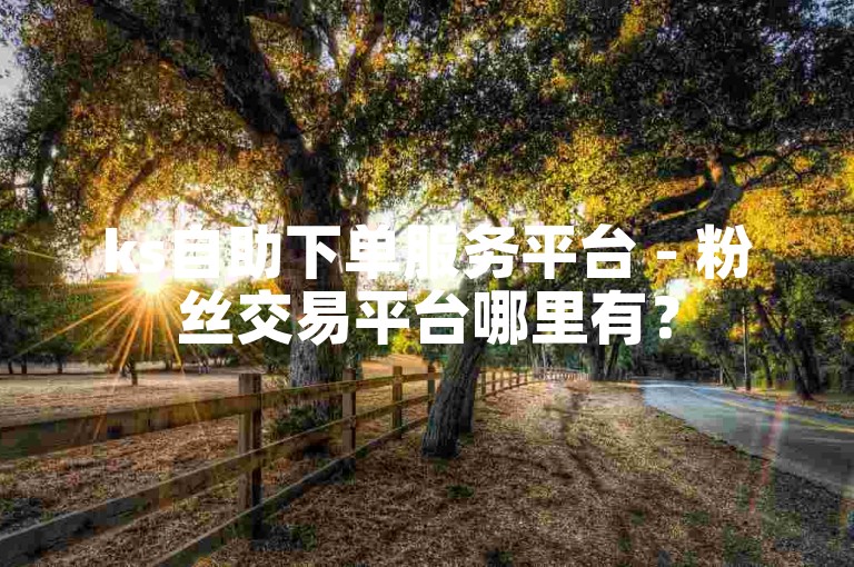 ks自助下单服务平台 - 粉丝交易平台哪里有？
