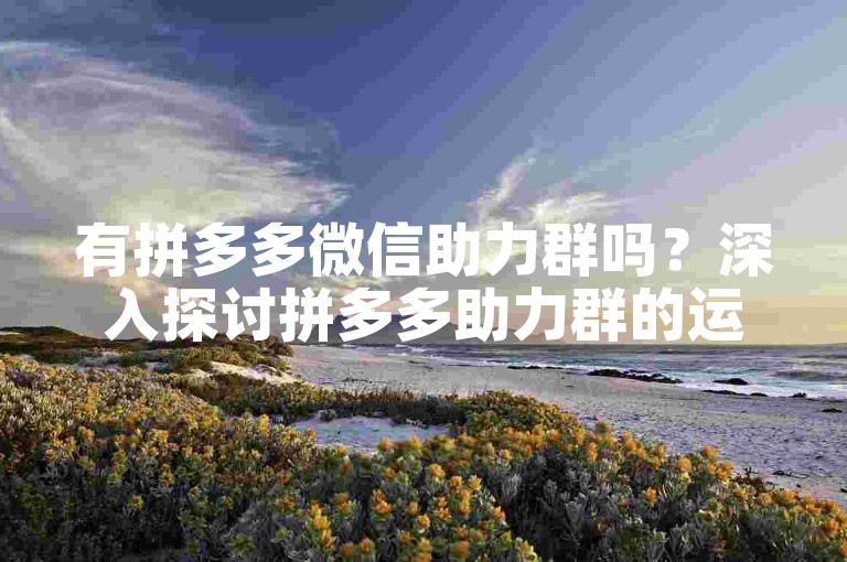 有拼多多微信助力群吗？深入探讨拼多多助力群的运作机制。