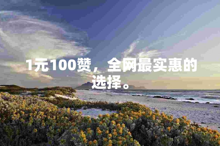 1元100赞，全网最实惠的选择。
