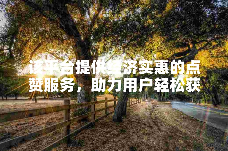 该平台提供经济实惠的点赞服务，助力用户轻松获得更多赞。