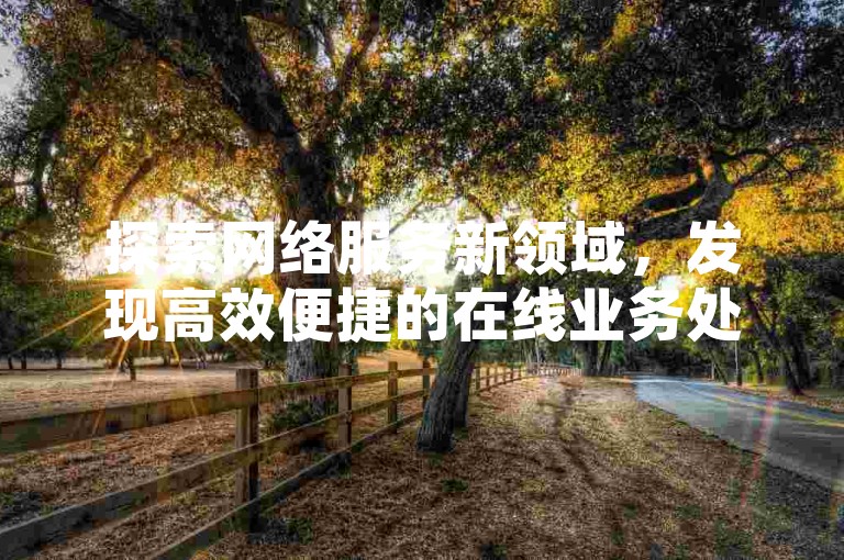 探索网络服务新领域，发现高效便捷的在线业务处理途径，尽在专业的社交平台增值服务商。