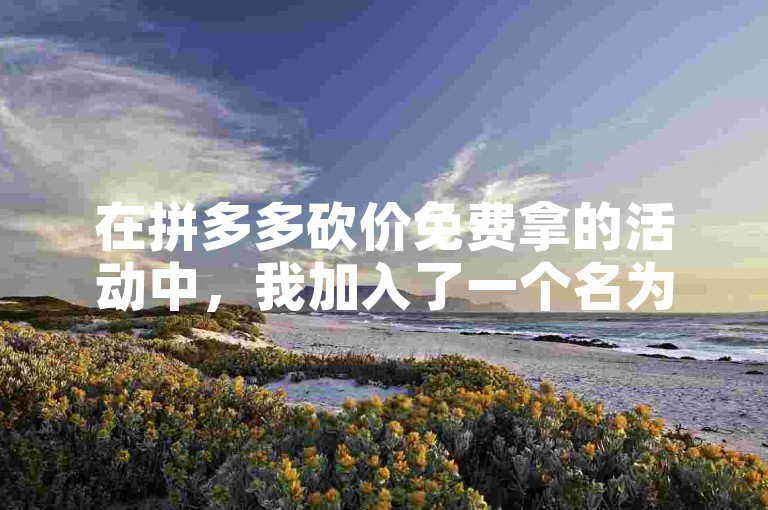 在拼多多砍价免费拿的活动中，我加入了一个名为拼多多助力平台的微信群，大家一起互相帮助砍价。