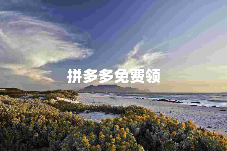 拼多多免费领5件助力{pdd助力软件}，轻松获取心仪商品。