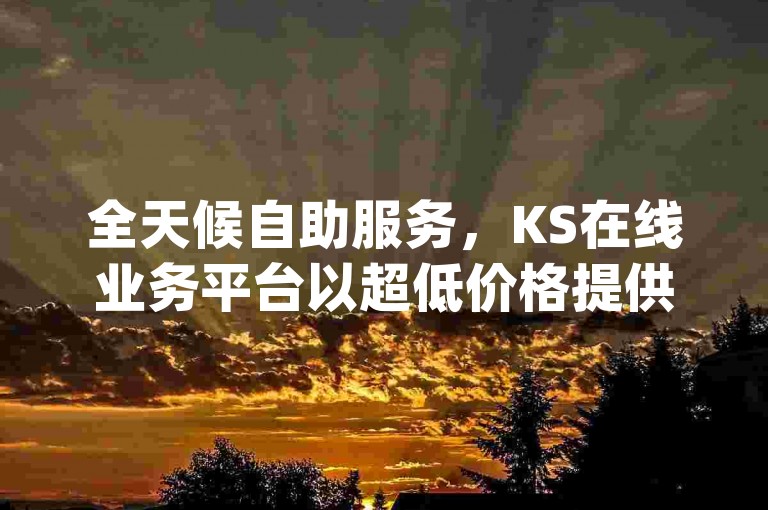 全天候自助服务，KS在线业务平台以超低价格提供dy业务卡盟网站的下单服务。