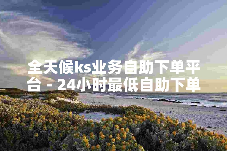 全天候ks业务自助下单平台 - 24小时最低自助下单平台