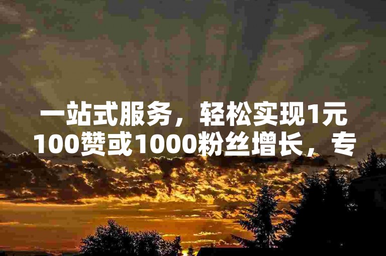 一站式服务，轻松实现1元100赞或1000粉丝增长，专业平台助您快速提升人气。