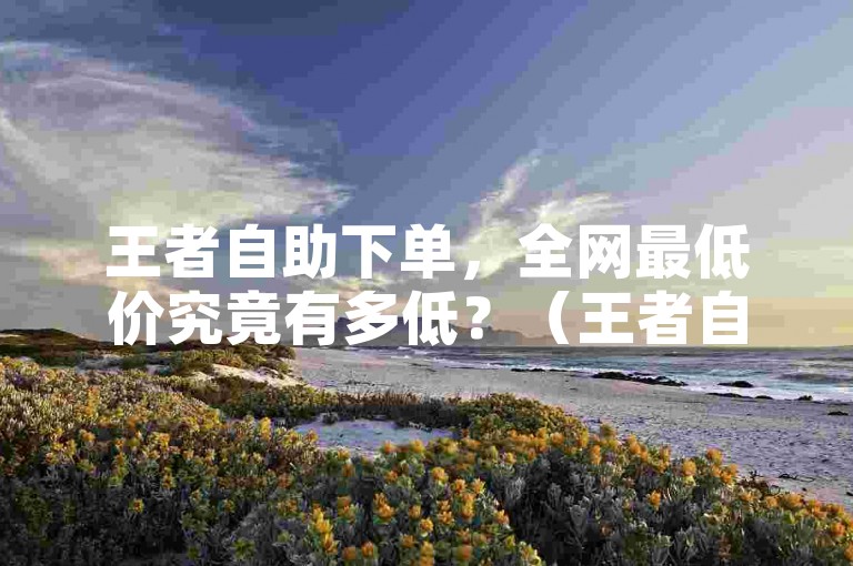 王者自助下单，全网最低价究竟有多低？（王者自助下单，网上最便宜的价格是多少？）