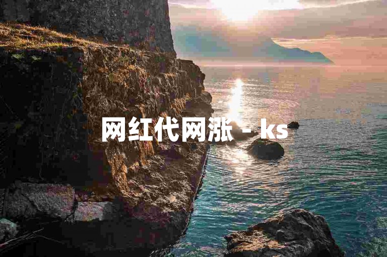 网红代网涨 - ks50赞自助平台下单的价格是多少？