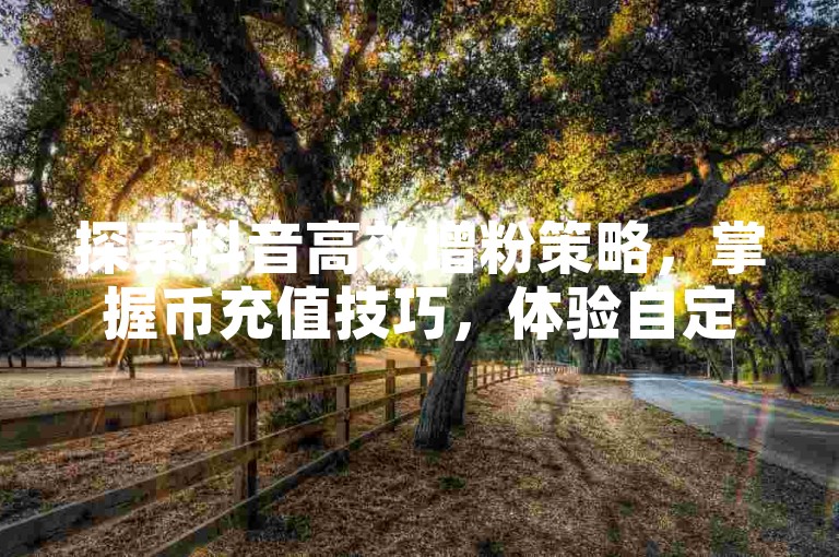 探索抖音高效增粉策略，掌握币充值技巧，体验自定义评论下单的便捷服务。