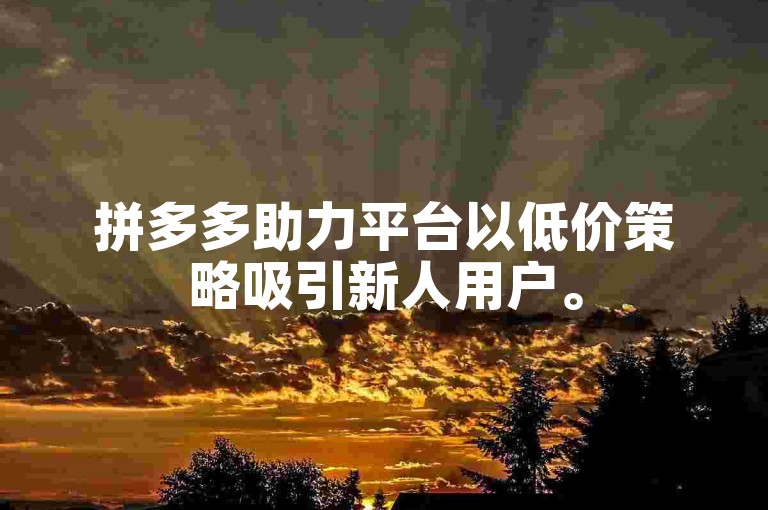 拼多多助力平台以低价策略吸引新人用户。