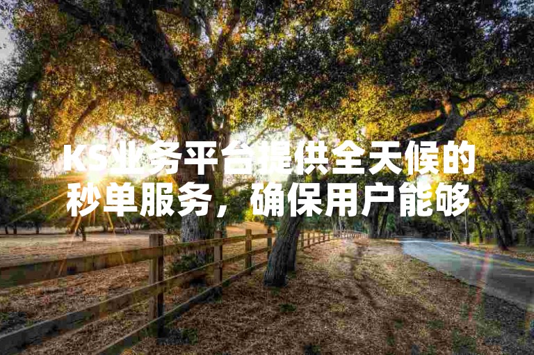 KS业务平台提供全天候的秒单服务，确保用户能够以低成本自助下单。