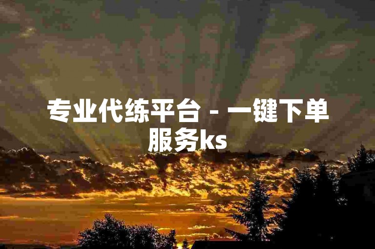 专业代练平台 - 一键下单服务ks