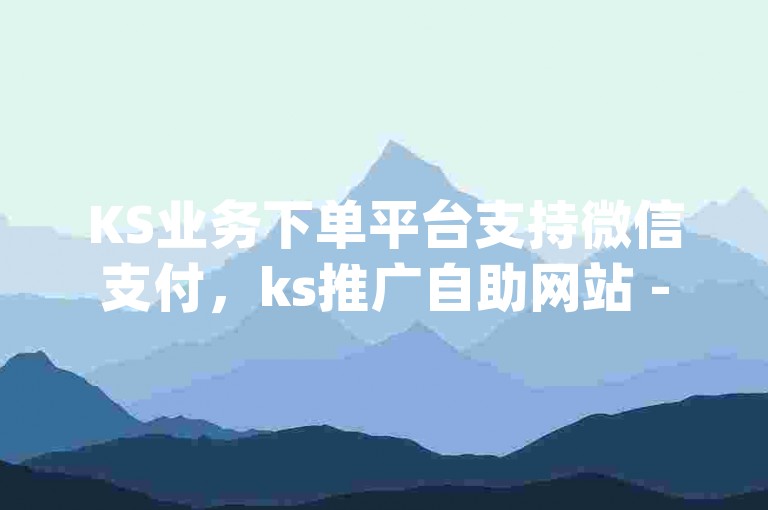 KS业务下单平台支持微信支付，ks推广自助网站 - dy赞业务 - 评论下单平台激情四溢！