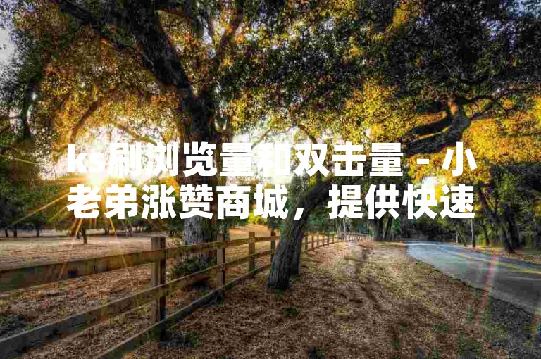 ks刷浏览量和双击量 - 小老弟涨赞商城，提供快速提升视频热度的服务。