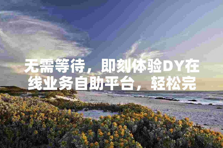 无需等待，即刻体验DY在线业务自助平台，轻松完成业务下单。