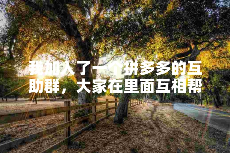 我加入了一个拼多多的互助群，大家在里面互相帮助完成助力任务。