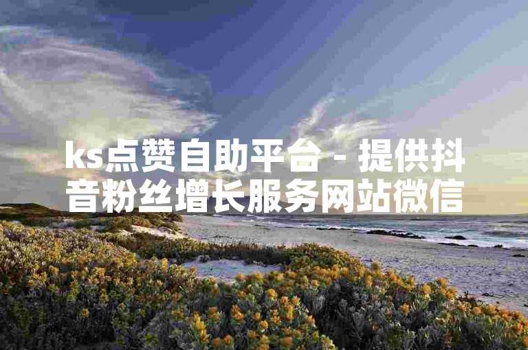 ks点赞自助平台 - 提供抖音粉丝增长服务网站微信