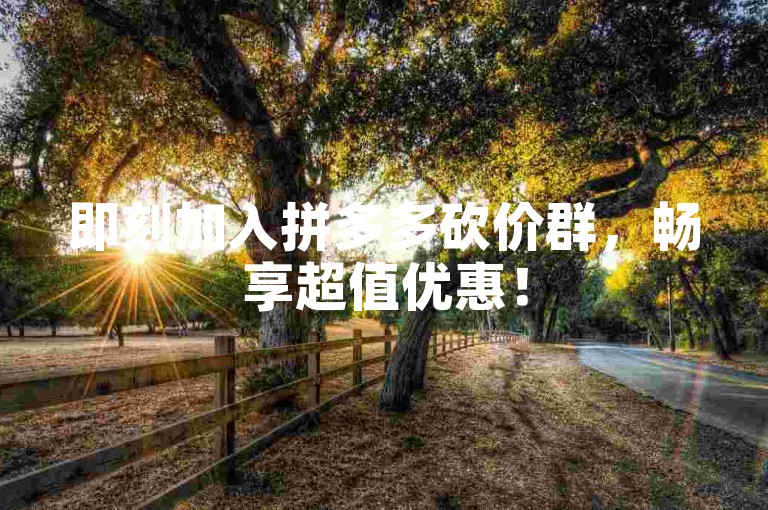 即刻加入拼多多砍价群，畅享超值优惠！