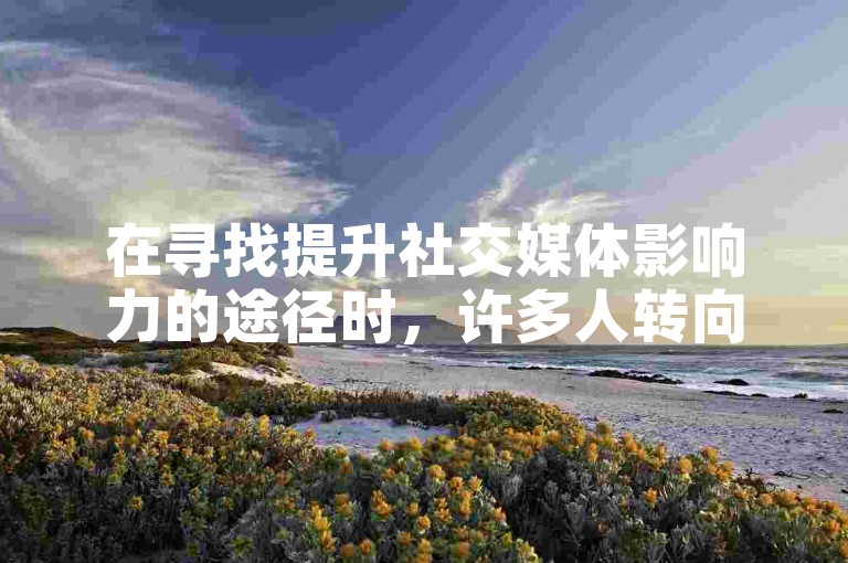 在寻找提升社交媒体影响力的途径时，许多人转向了专业的浏览量购买平台以实现ins账号的快速涨粉。