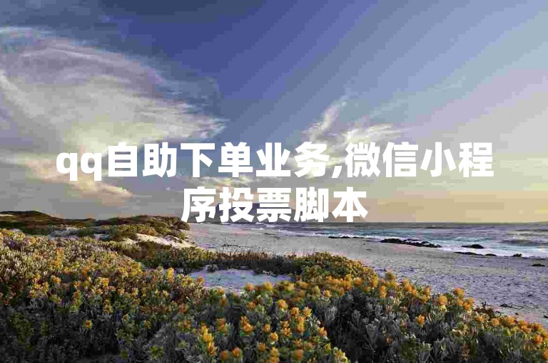 qq自助下单业务,微信小程序投票脚本